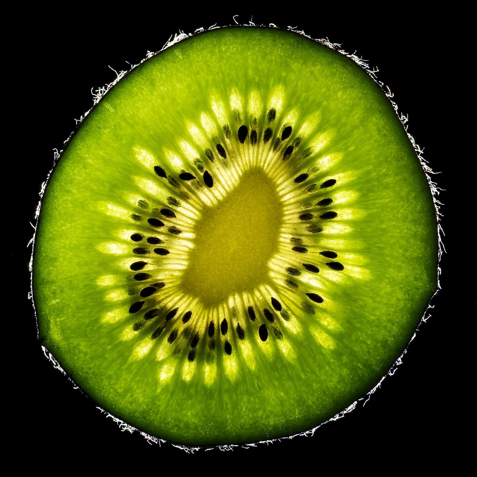 Kiwi